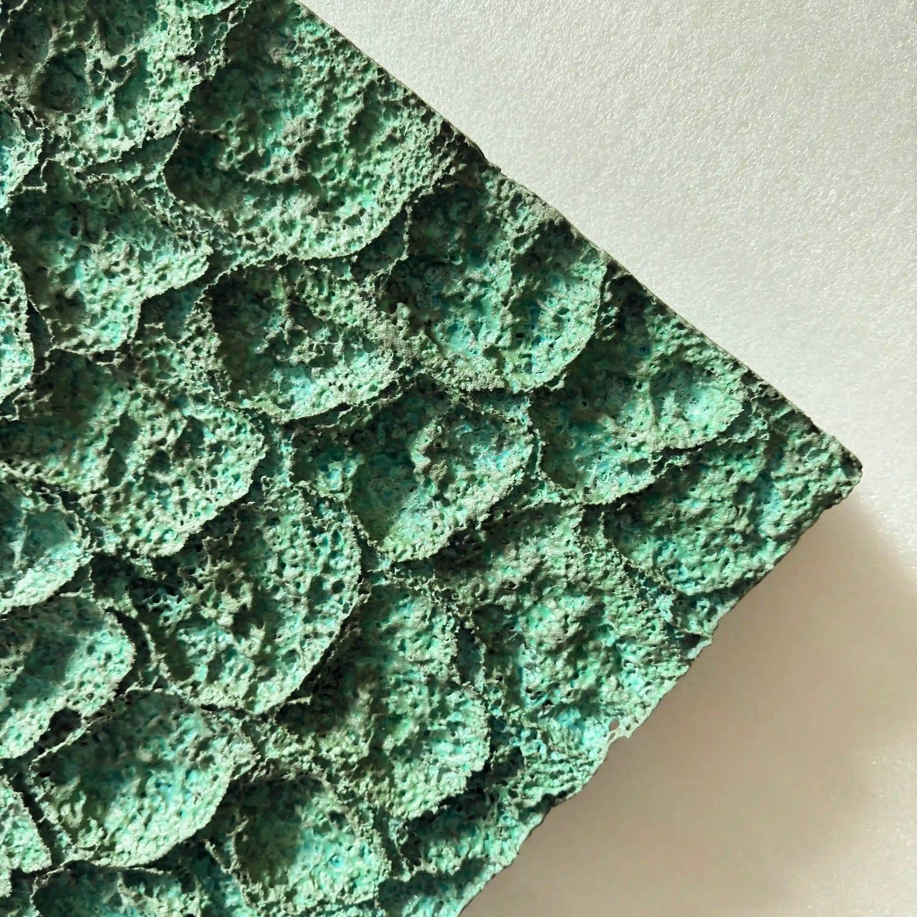 Coral Plain Wall Art Jianzhi