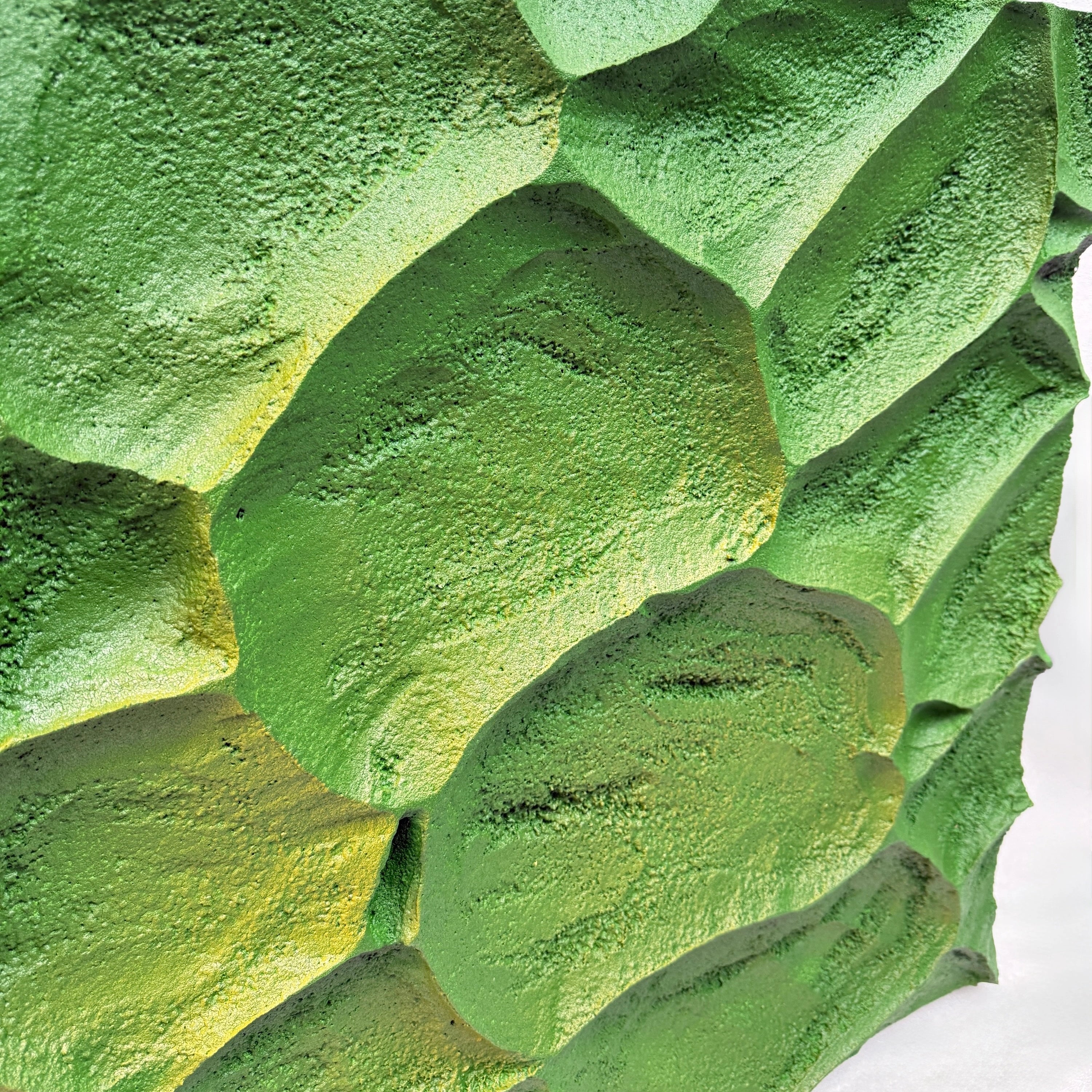 Tectonic Bloom | Chloris Wall Art Interior Moderna
