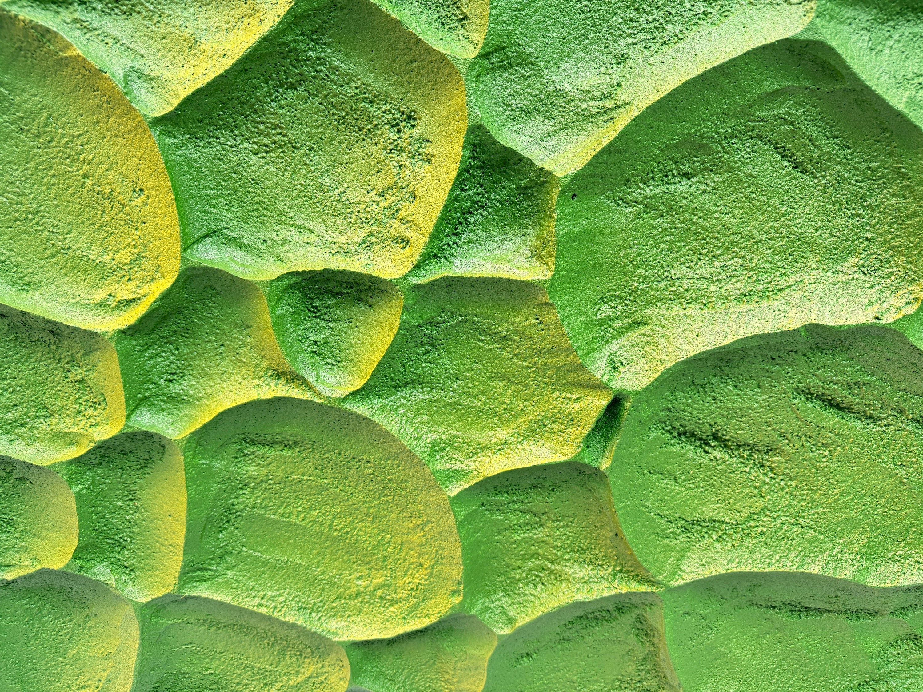 Tectonic Bloom | Chloris Wall Art Interior Moderna