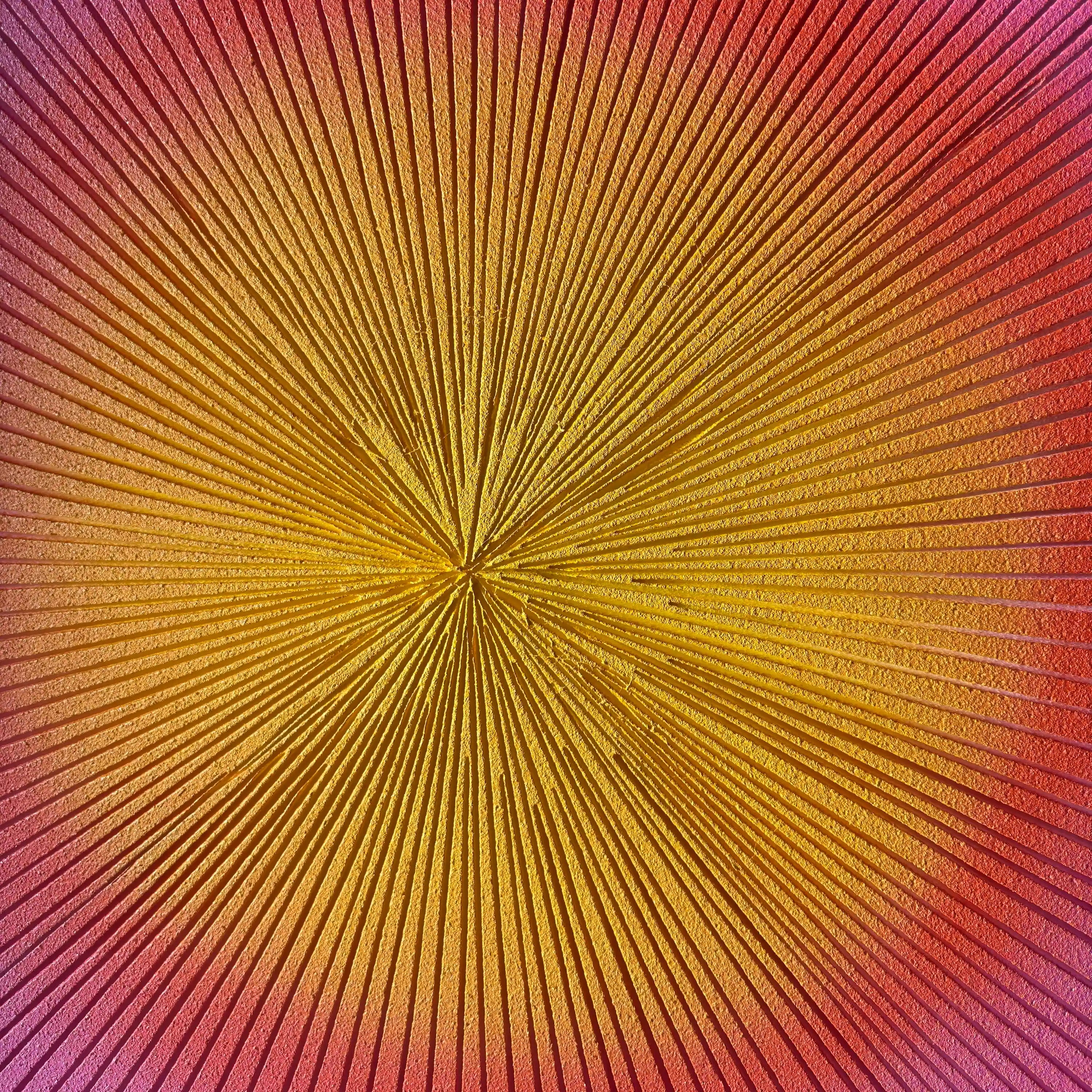 Solar Bloom Wall Art Jianzhi