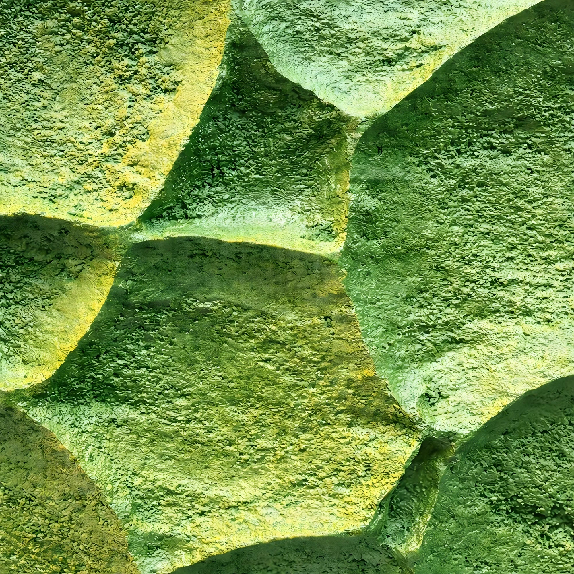 Tectonic Bloom | Chloris Wall Art Interior Moderna