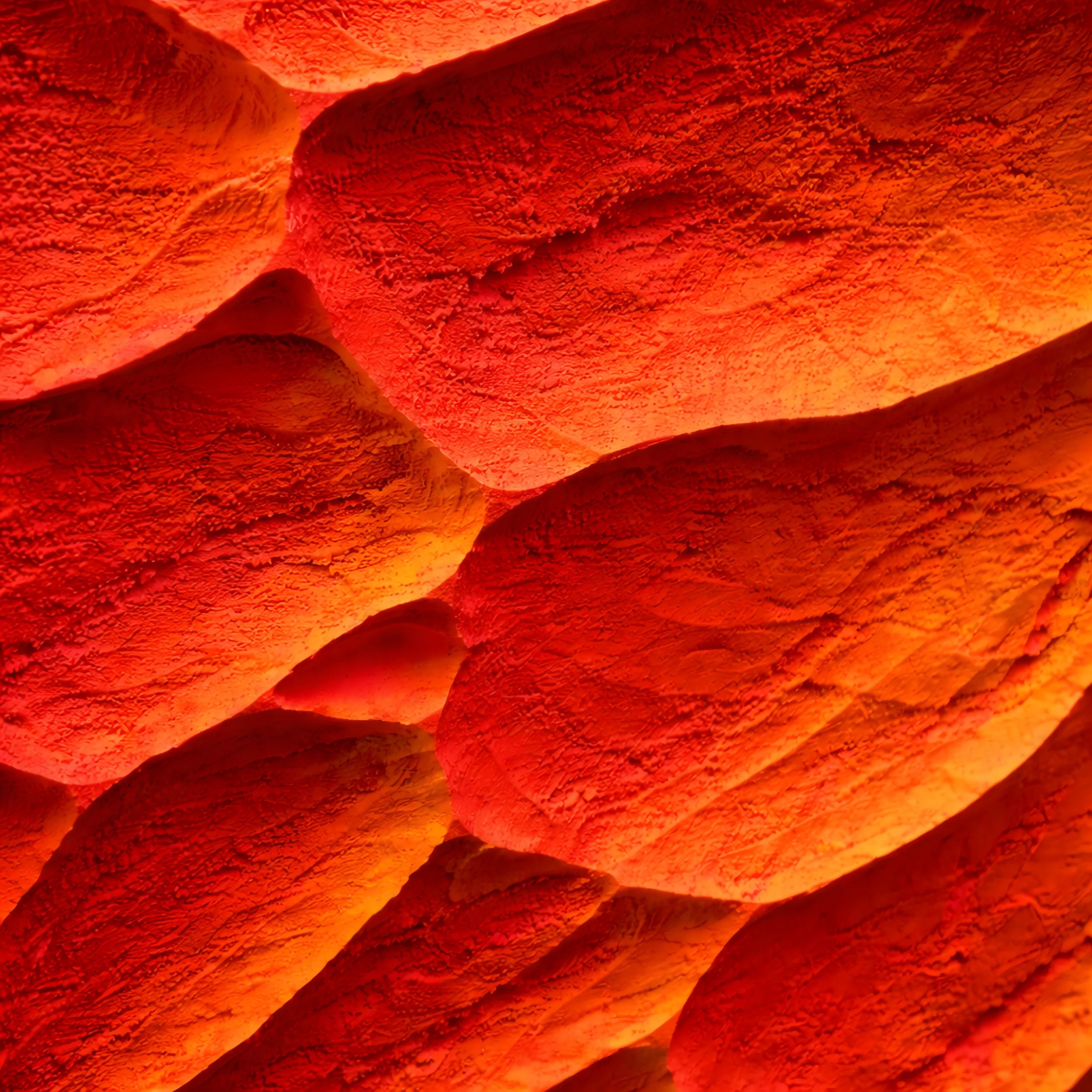 Tectonic Bloom | Ignition Wall Art Jianzhi