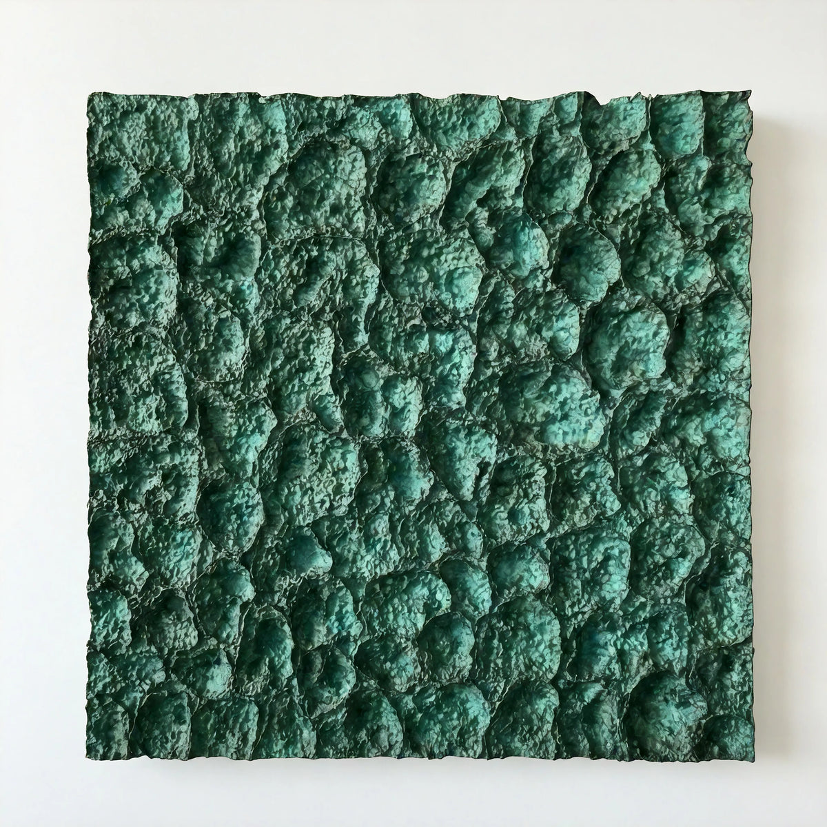 Coral Plain Wall Art Interior Moderna New