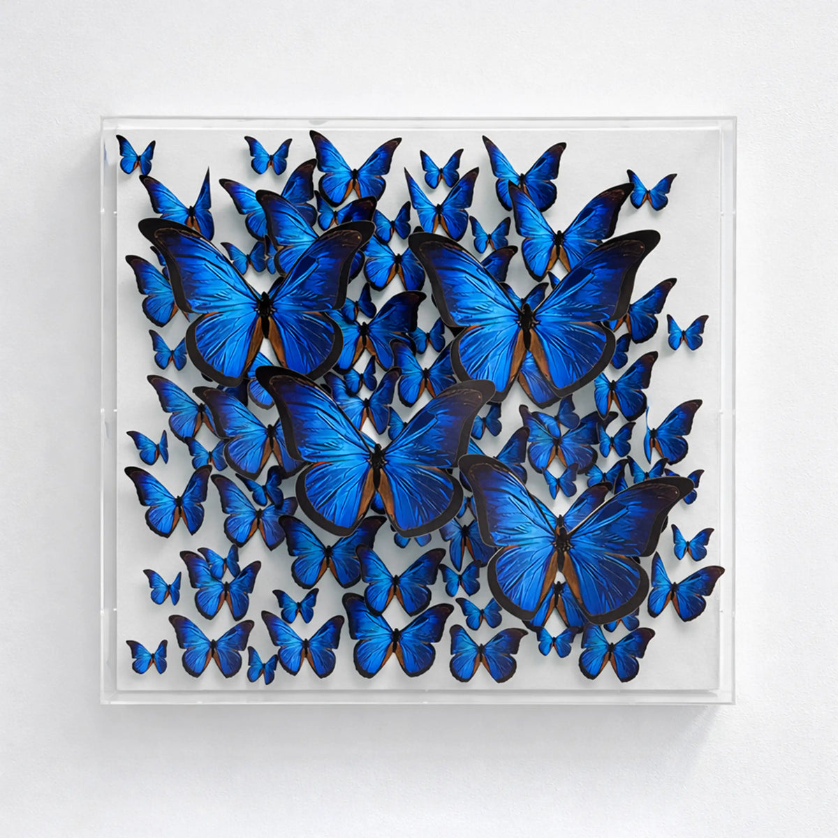 Emergence Wall Art Interior Moderna New