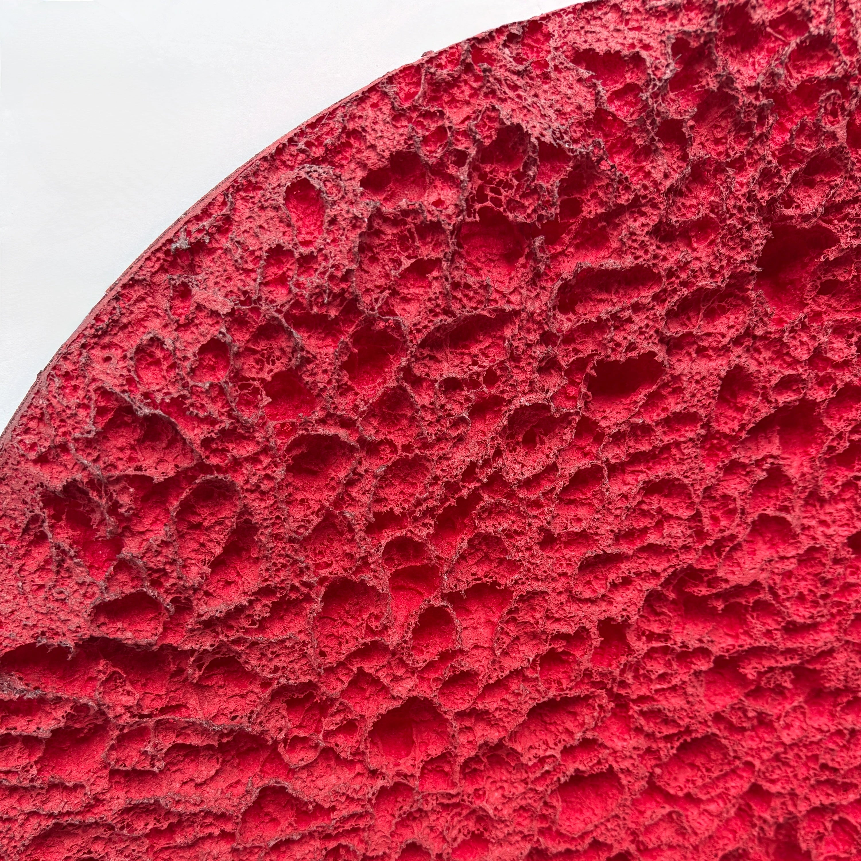 Erosion | Crimson Field Wall Art Interior Moderna