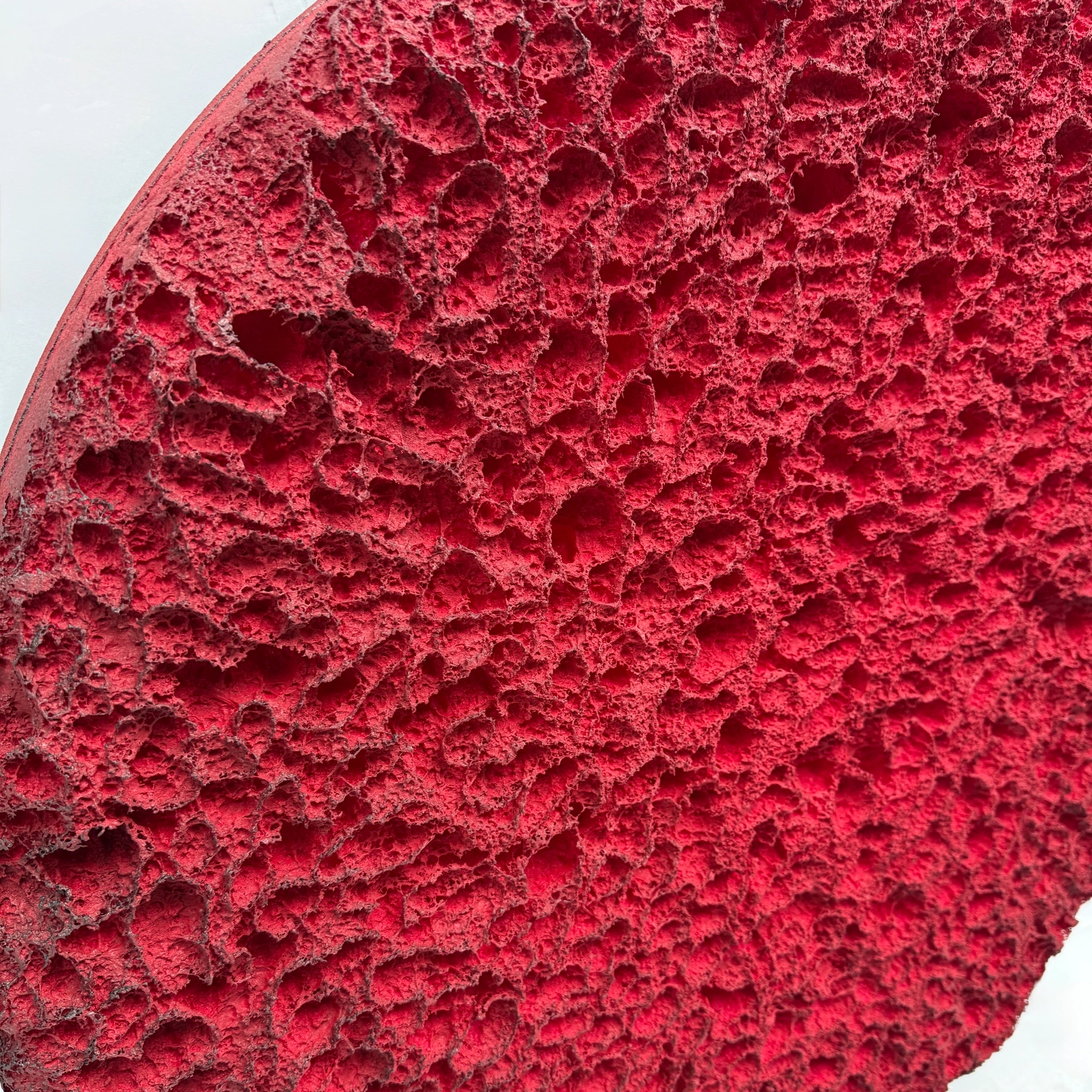 Erosion | Crimson Field Wall Art Interior Moderna