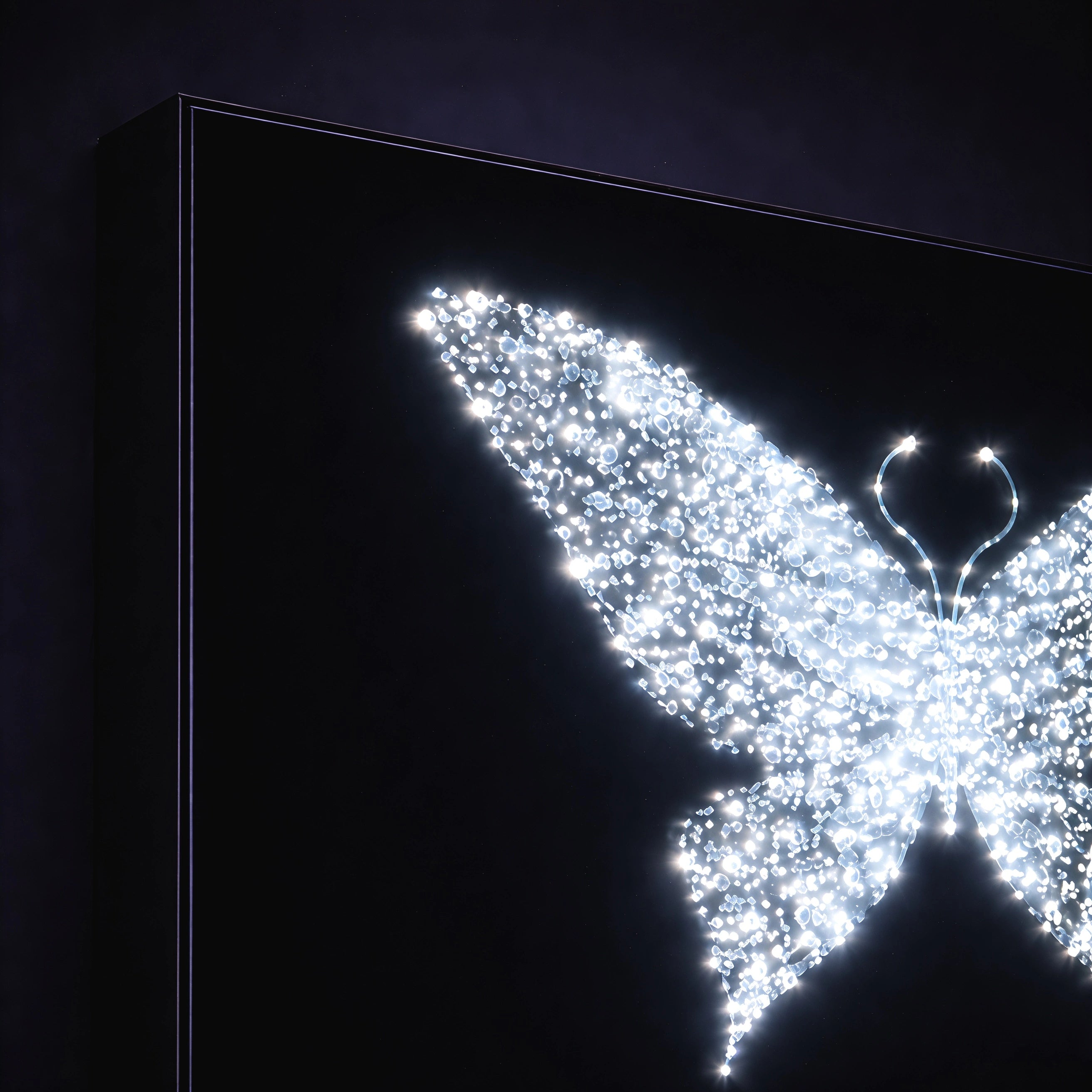 Midnight Metamorphosis Wall Art Interior Moderna