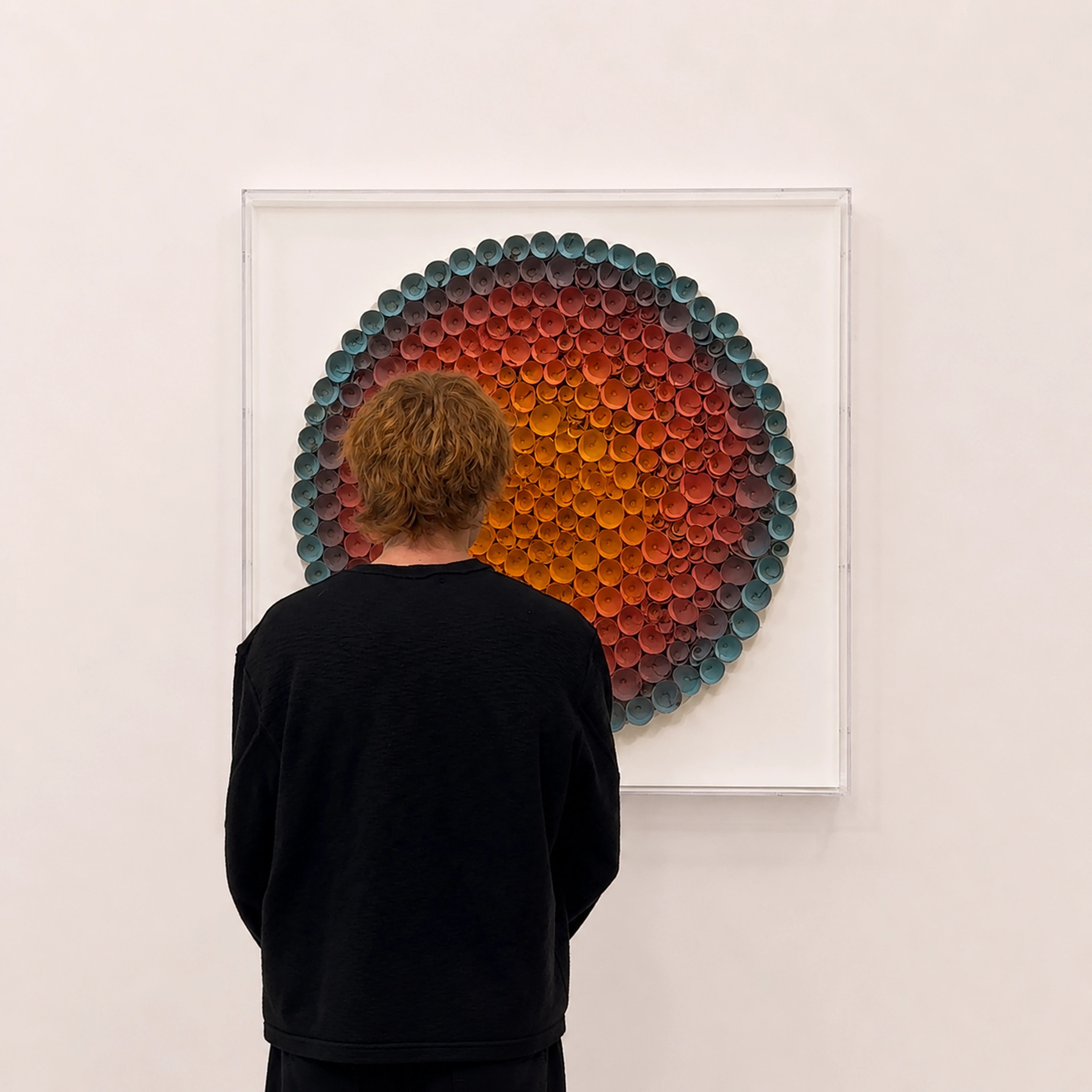 Coronal Bloom — orange and blue round paper wall art in a clear acrylic shadow box — shown at wall scale
